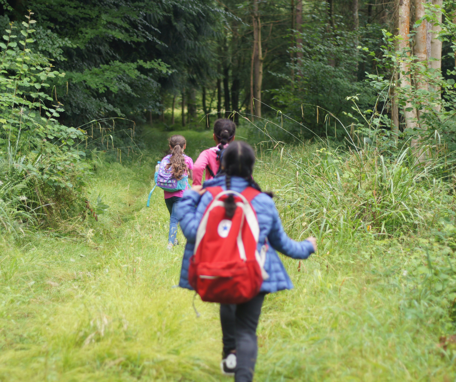 Children walking in a woods
