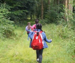 Children walking in a woods